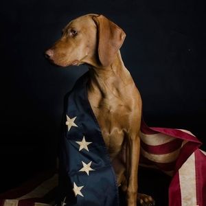 Meet your Posher, Sabrina